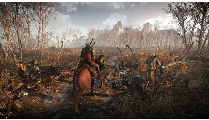 Immagine prodotto Bandai Namco The Witcher 3: Wild Hunt (Switch, DE)