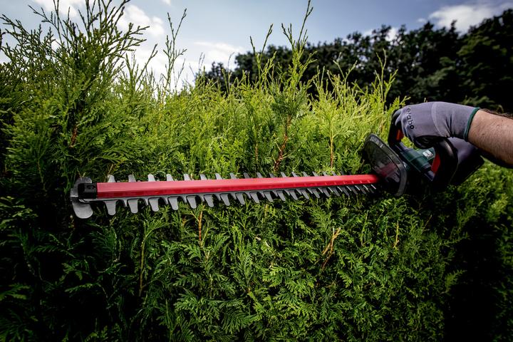 Image du produit Metabo HS 18 LTX 65 (Taille-haies sans fil)