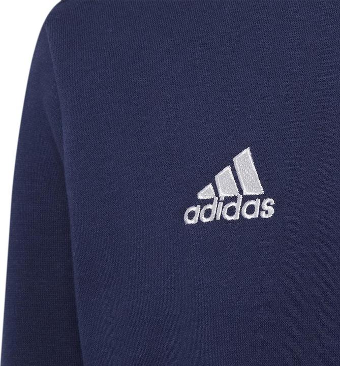 Actual product image adidas Entrada 22 sweatshirt kids (164)