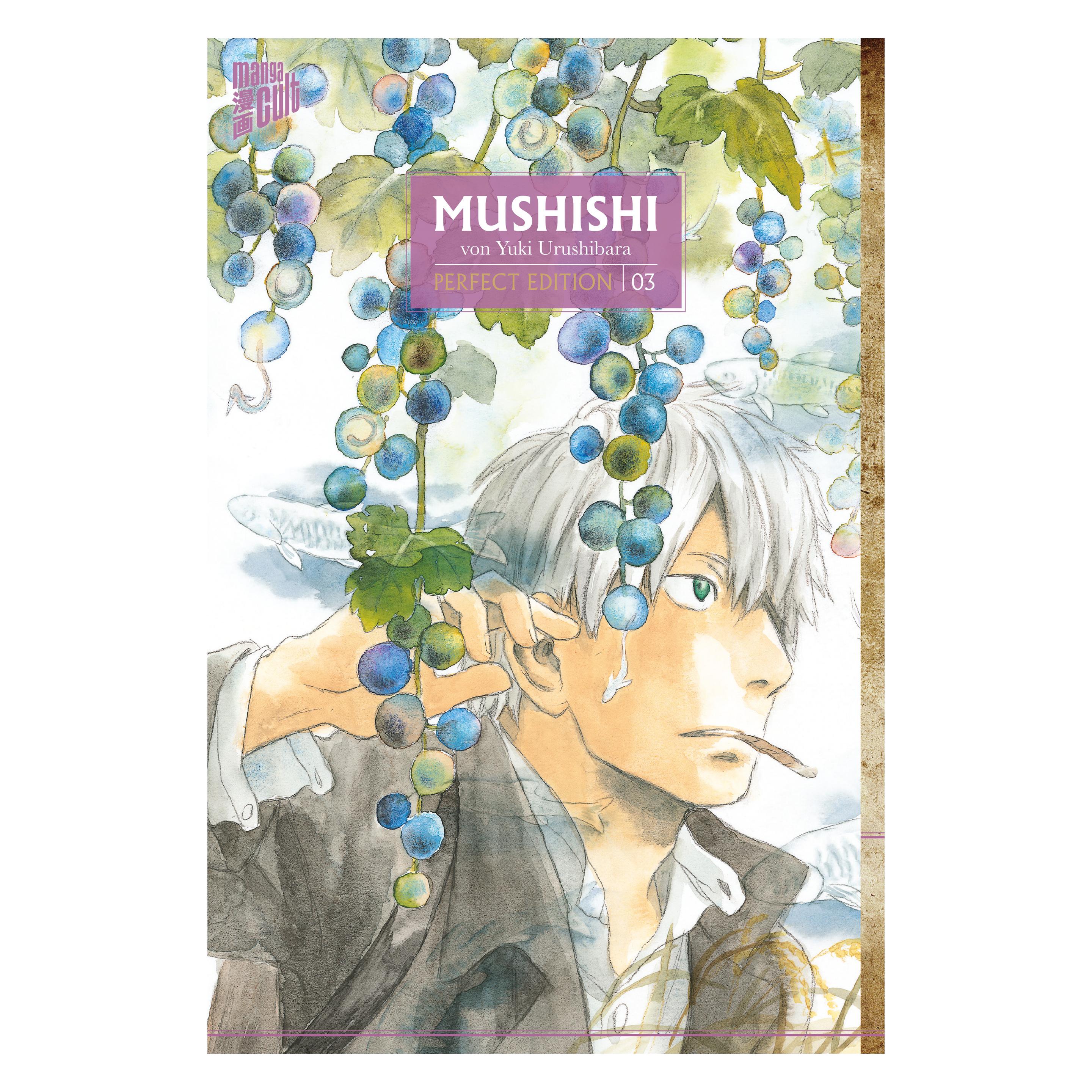 Mushishi - Perfect Edition 3