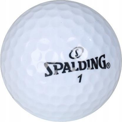 Actual product image Spalding Flying