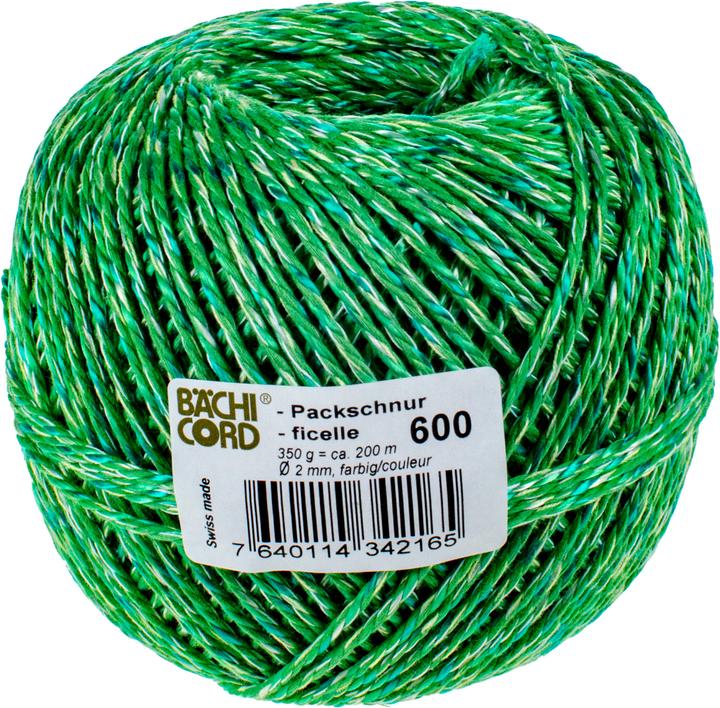 Actual product image Bächi-Cord BC packing cord no.600m (assorted) (1 pcs.)