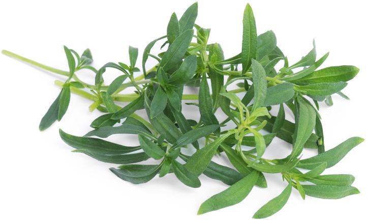 Produktbild Véritable Winter-Bohnenkraut BIO (Kräutersamen)