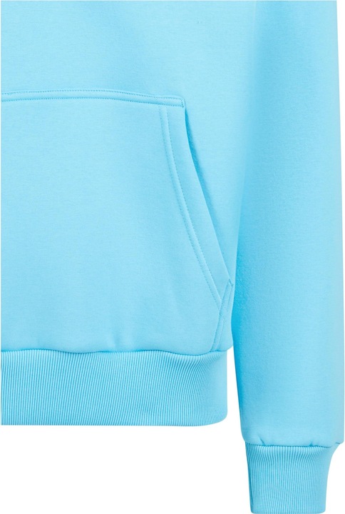 Immagine prodotto Dropsize Felpa con cappuccio Heavy Oversize Embo - 124751 (M)