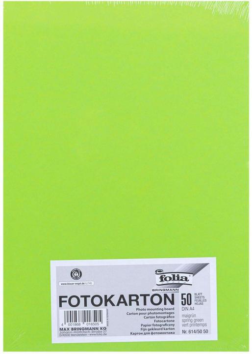 Produktbild Folia Fotokarton A4, Birkengrün, 50 Stück (300 g/m², 1x)