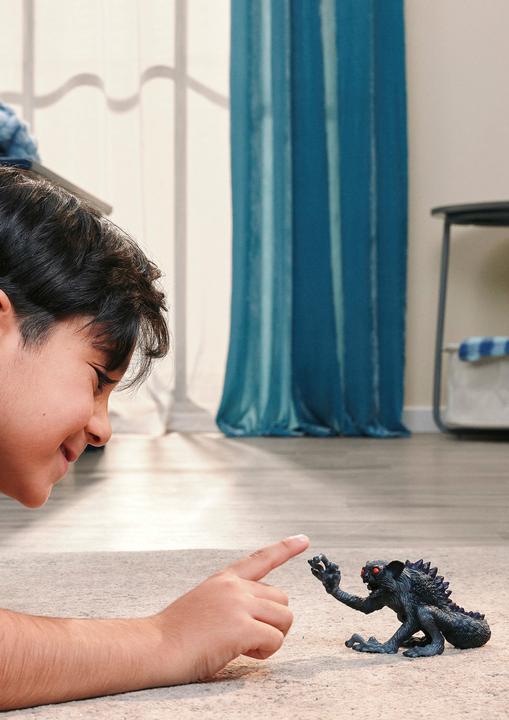 Image du produit Schleich Schatten-Lemur