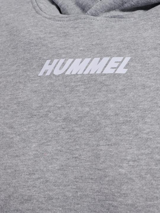 Actual product image hummel hmlELEMENTAL HOODIE (S)