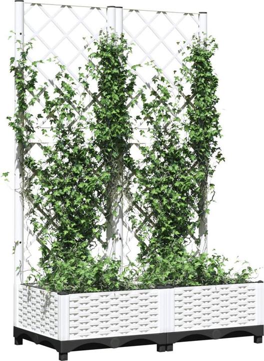 Actual product image vidaXL Atticus