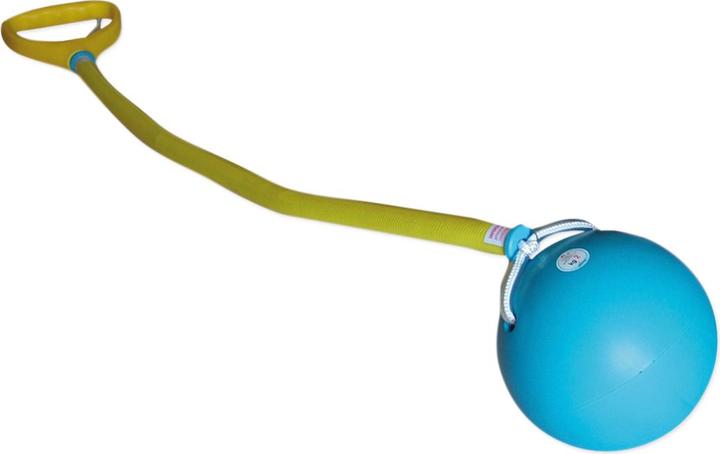 Actual product image Trial Throwing hammer (2000 g)