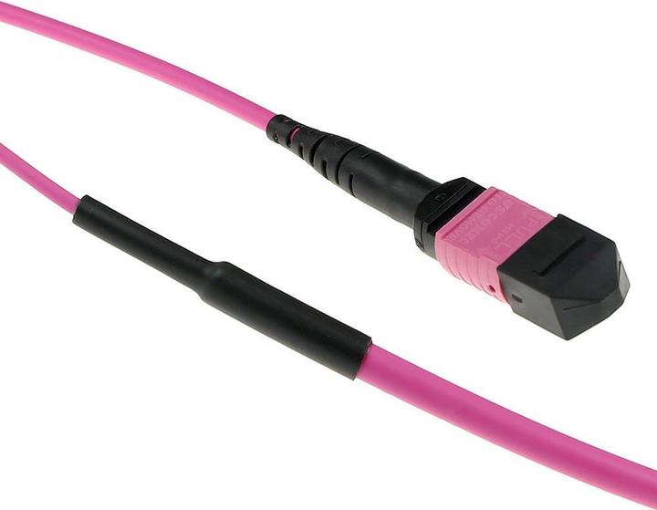 Image du produit ACT 25 mètres Multimode 50/125 OM4(OM3) polarité A câble trunk fibre avec connecteurs femelles MTP/MPO (25 m)
