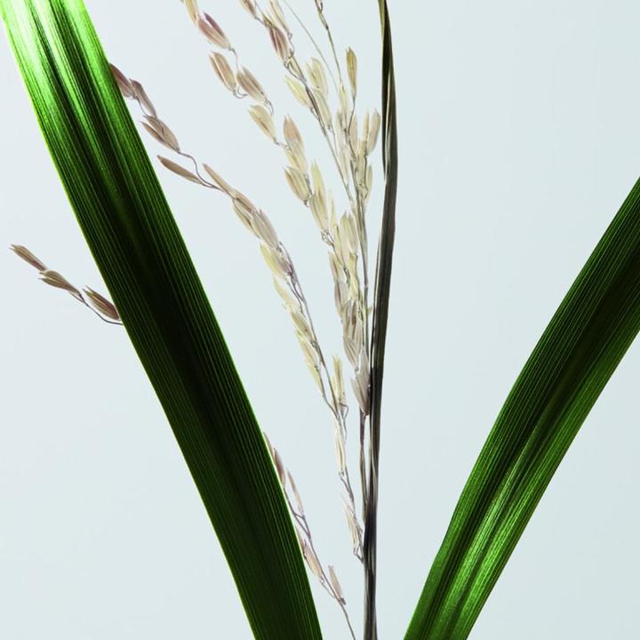 Image du produit Shu Uemura Réinitialisation ultime (200 ml)