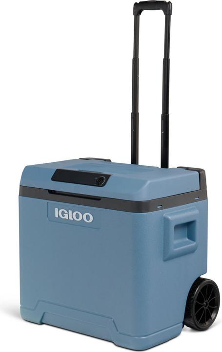 Actual product image Igloo IE42 DCAC (42 l)