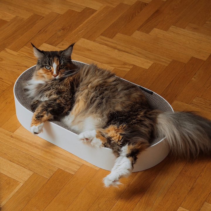 Produktbild LucyBalu SCRATCHBED Kartonbett (Katze)