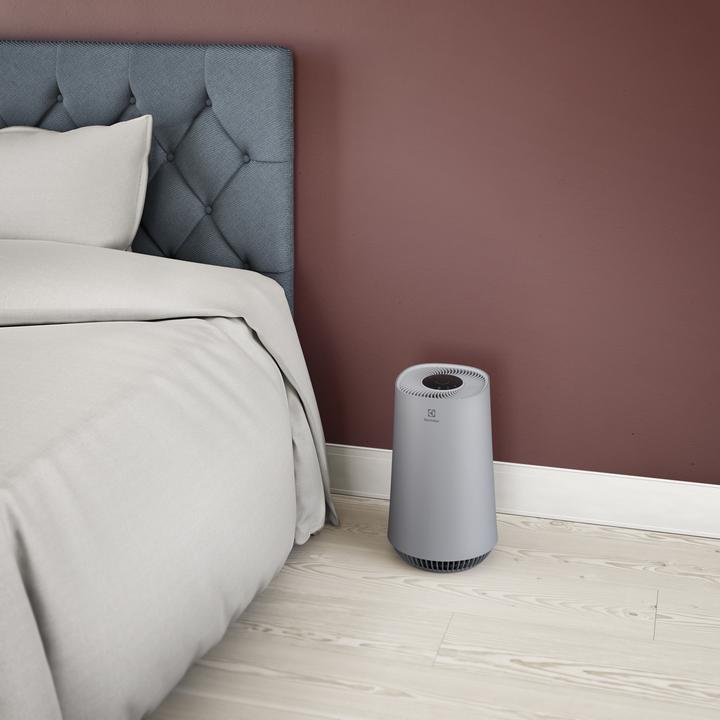 Immagine prodotto Electrolux FA31-201GY (40 m²)