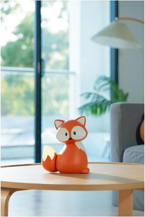 Produktbild La Casa de los Aromas Diffuser Natural Orgin Fox orange