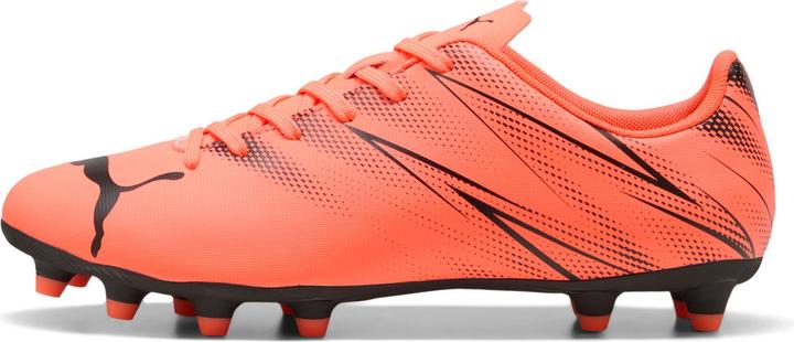 Produktbild Puma Attacanto FG/AG (42)