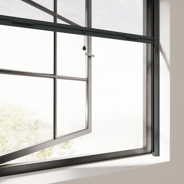 Produktbild Cocoon Home Concepts Cocoon Insektenschutzrollo mit Kassette Anthrazit - 60 x 150 (60 x 150 cm)