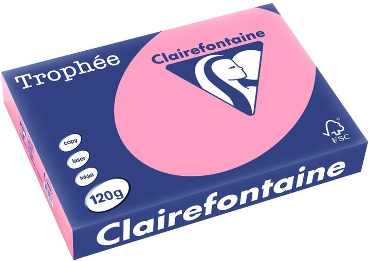 Actual product image Clairefontaine Copier paper Trophee A4 120g/sqm PU=250 sheets heckenrose (120 g/m², A4)