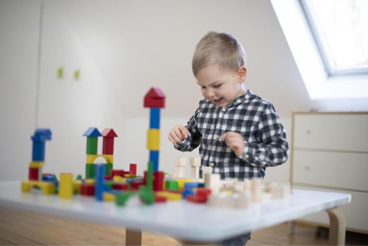 Actual product image Eichhorn Building blocks