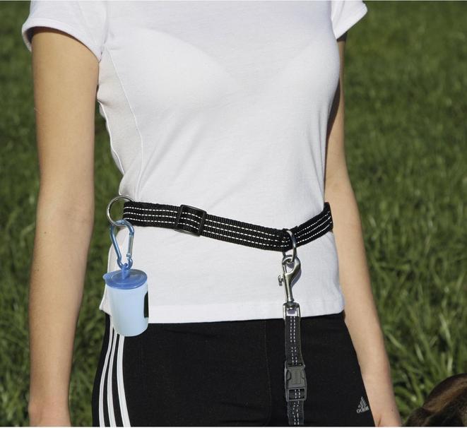 Produktbild Kerbl Active (Hund)