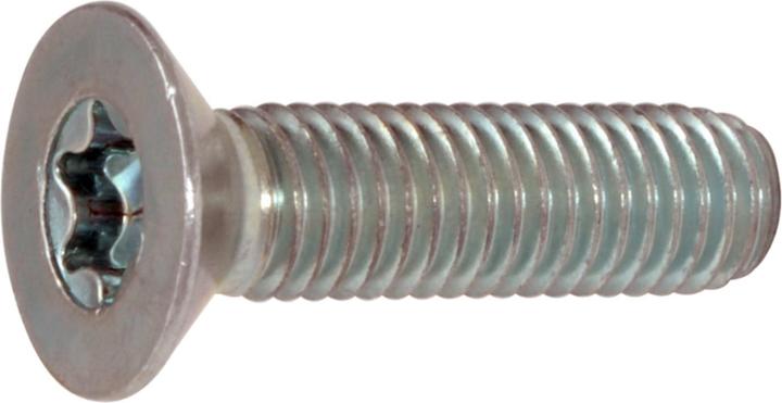 Actual product image Werkstarck Metal screws countersunk head (100 Screws per piece)