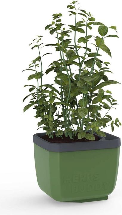 Actual product image Gusta Garden Herbs Buddy (49 x 50 x 14.50 cm)