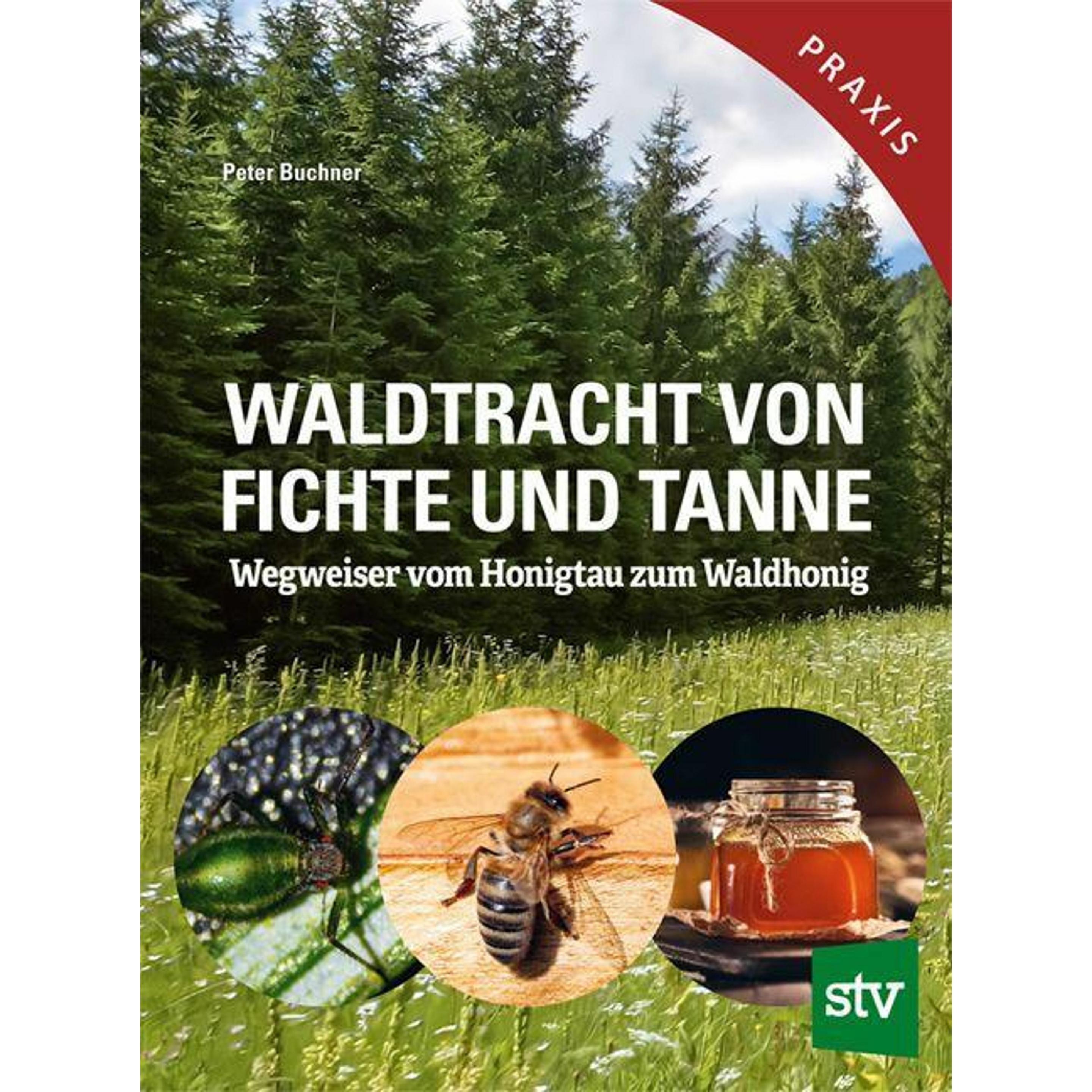 Buchner:Waldtracht von Fichte und Tanne, Fachbücher von Peter Buchner