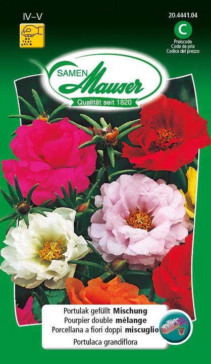 Samen Mauser Pourpier farci Mélange (Graines de fleurs)