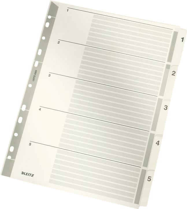 Produktbild Leitz Register Karton