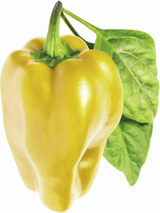 Produktbild Click and Grow Yellow Sweet Pepper (Gemüsesamen)