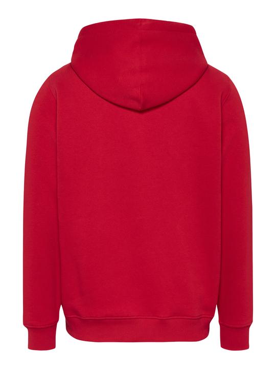 Productafbeelding Tommy Jeans Tjm Reg Linear Logo Hoodie Ext (L)