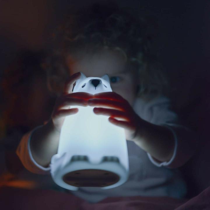 Actual product image Kidywolf Koala