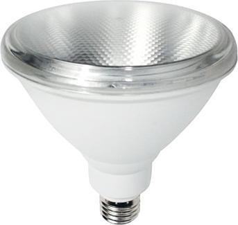 Scharnberger+Hasenbein 31765 LED plant light PAR38 (LED, 240 V)