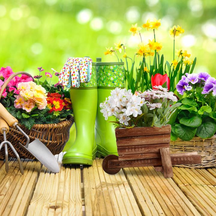 Actual product image Relaxdays Plant wheelbarrow (26 cm)
