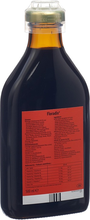 Actual product image Floradix Iron (1 Piece, Liquid, 600 g)
