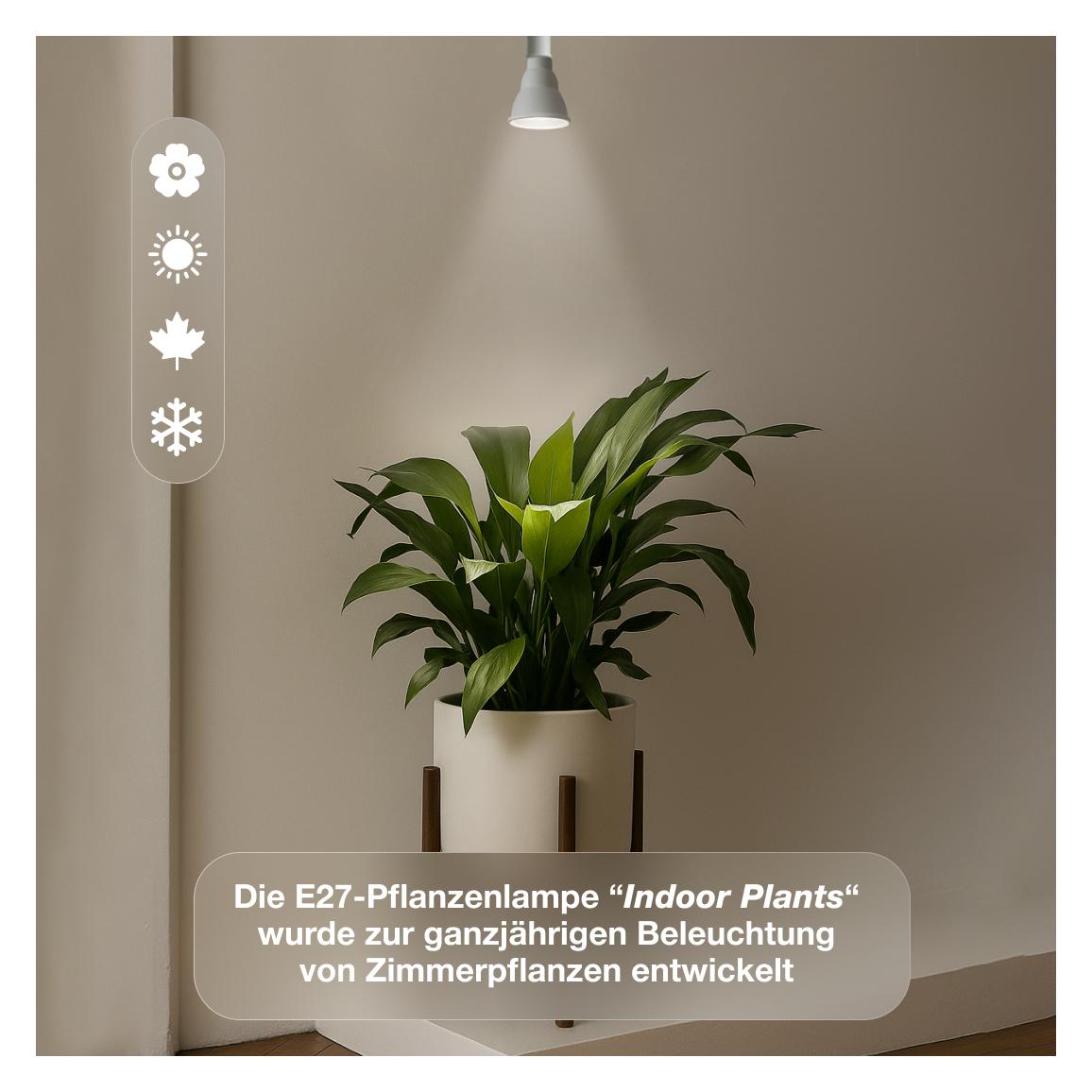 Venso E27 Pflanzenlampe "Indoor plants" 7W 60 - kaufen bei Galaxus -  Galaxus