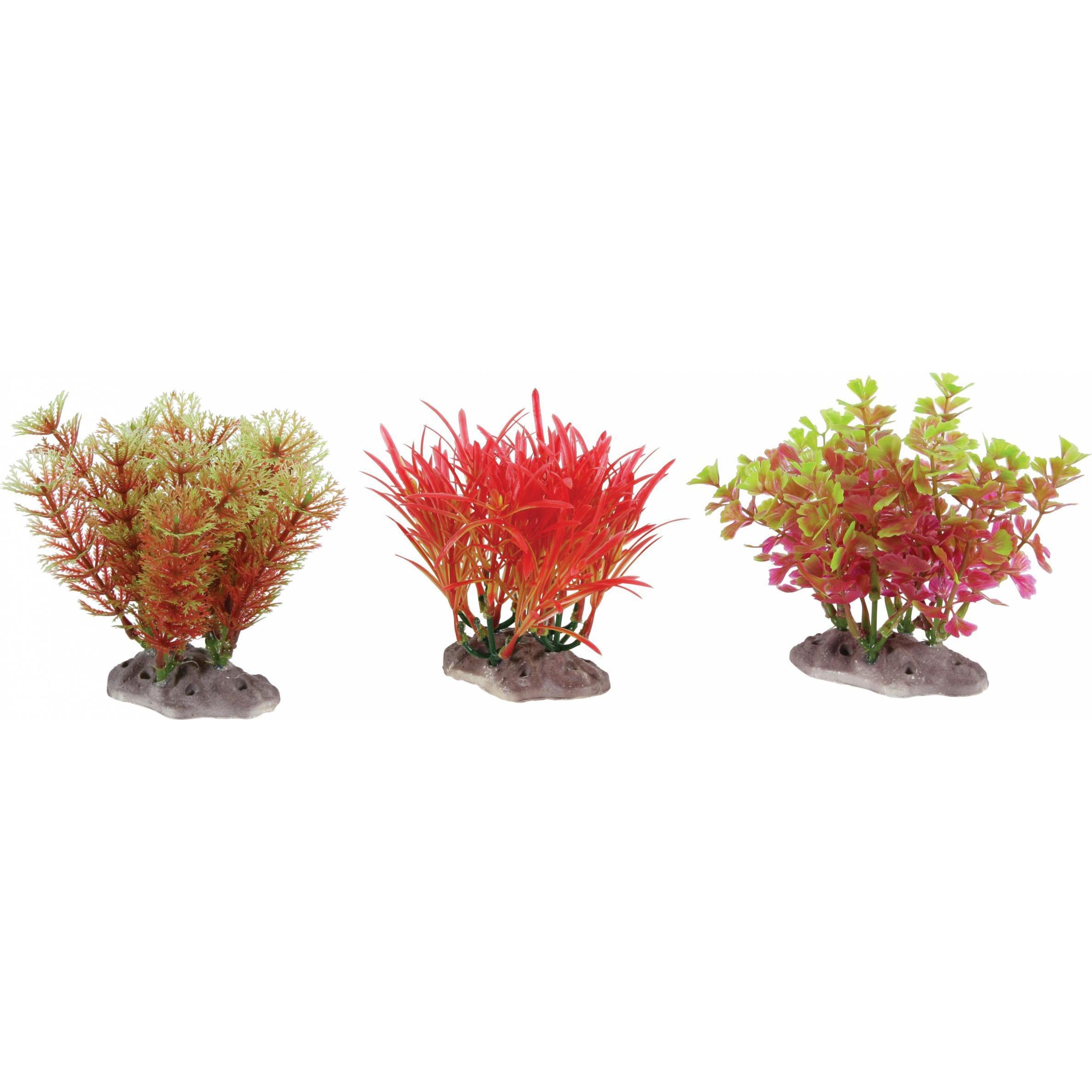Zolux showcase factory S 6 pcs - A set (Dekoration, sonstige Gegenstände), Aquarium Dekoration