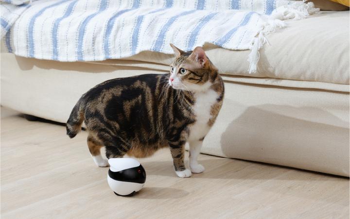 Actual product image Enabot Eeo Se (1920 x 1080 Pixels)