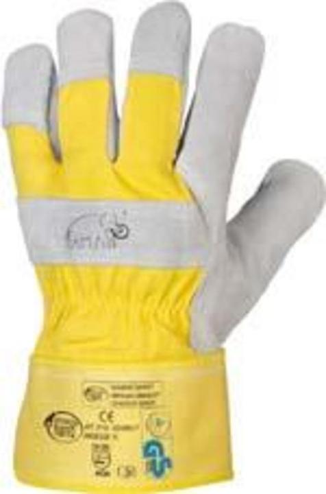 Actual product image Stronghand Gloves Mammut,cowhide/core cold leather,size 10 (10)