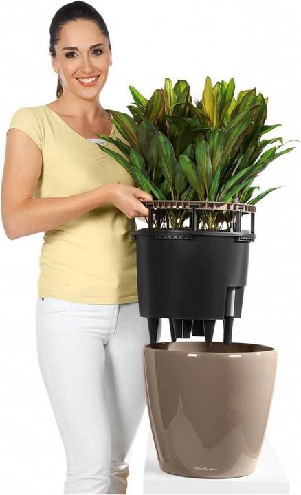 Immagine prodotto Lechuza Classico (28.50 cm)
