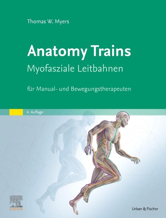Produktbild Anatomy Trains (Deutsch, Anne Schulz, Thomas W. Myers, Wiebke Kathmann, 2022)