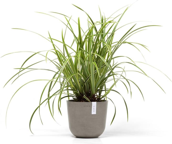 Produktbild Ecopots Oslo Mini (19 cm)