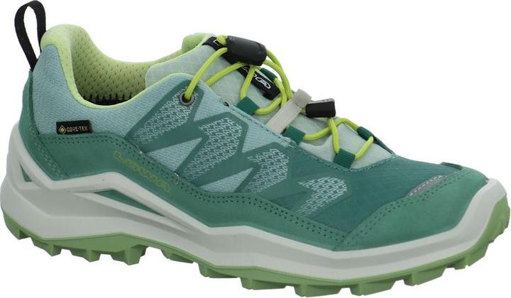Produktbild Lowa Maddox Pro GTX LO (40)