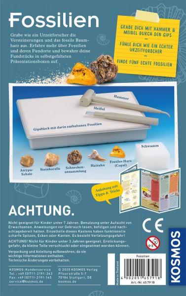 Actual product image Kosmos Fossils