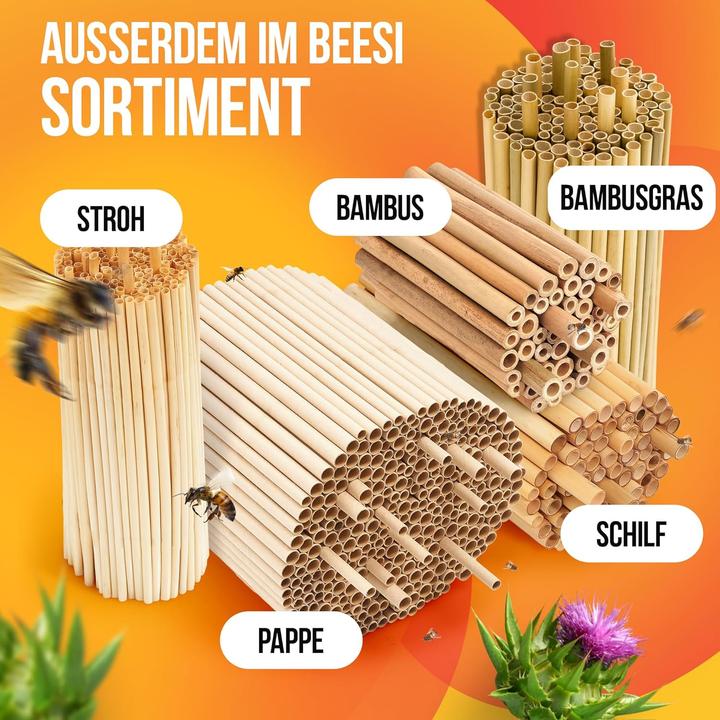 Actual product image Beesi Nesting pods (Wild bees)