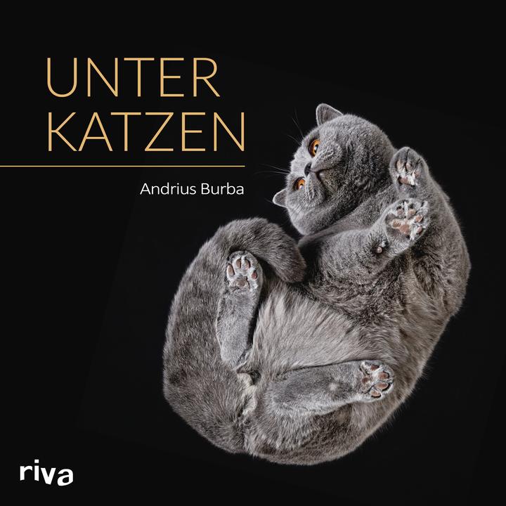 Image du produit Unter Katzen (Allemand, Andrius Burba, 2016)