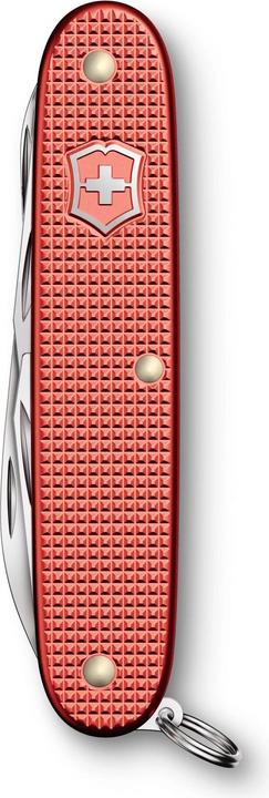 Produktbild Victorinox Pioneer X