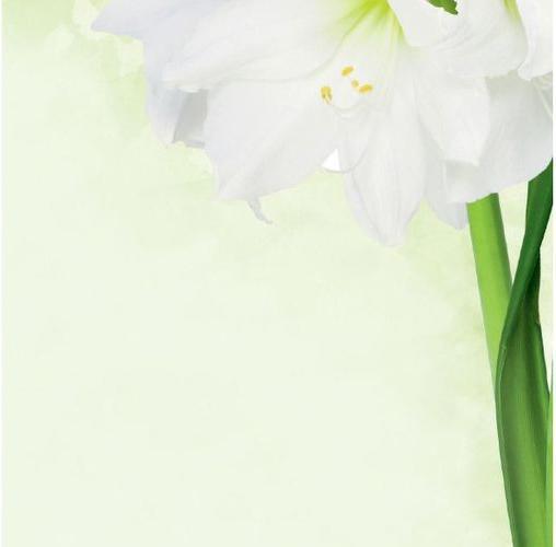 Image du produit Sigel Papier à motif (90 g/m², A4)