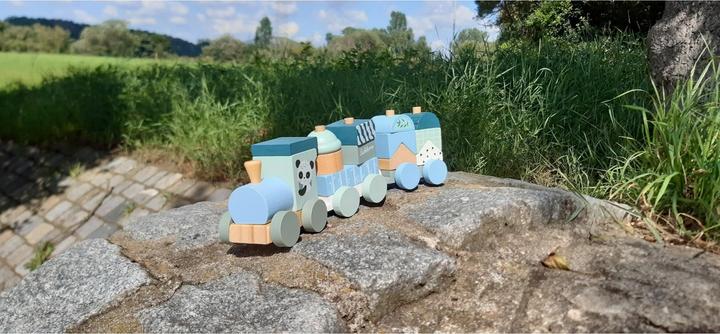 Actual product image Eichhorn Wooden train
