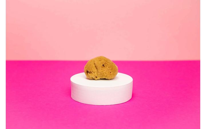 Image du produit Hera Organics Menstruationsschwämme (Mini)